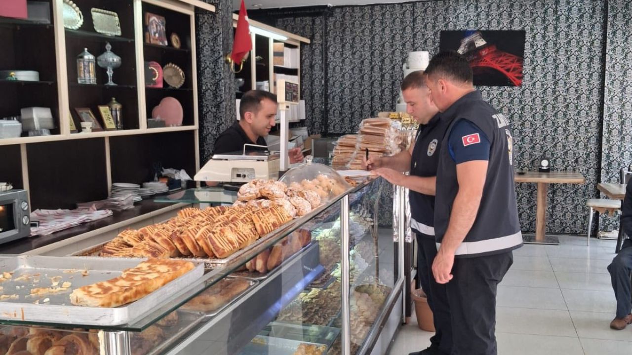 Taşköprü Denetim (6)