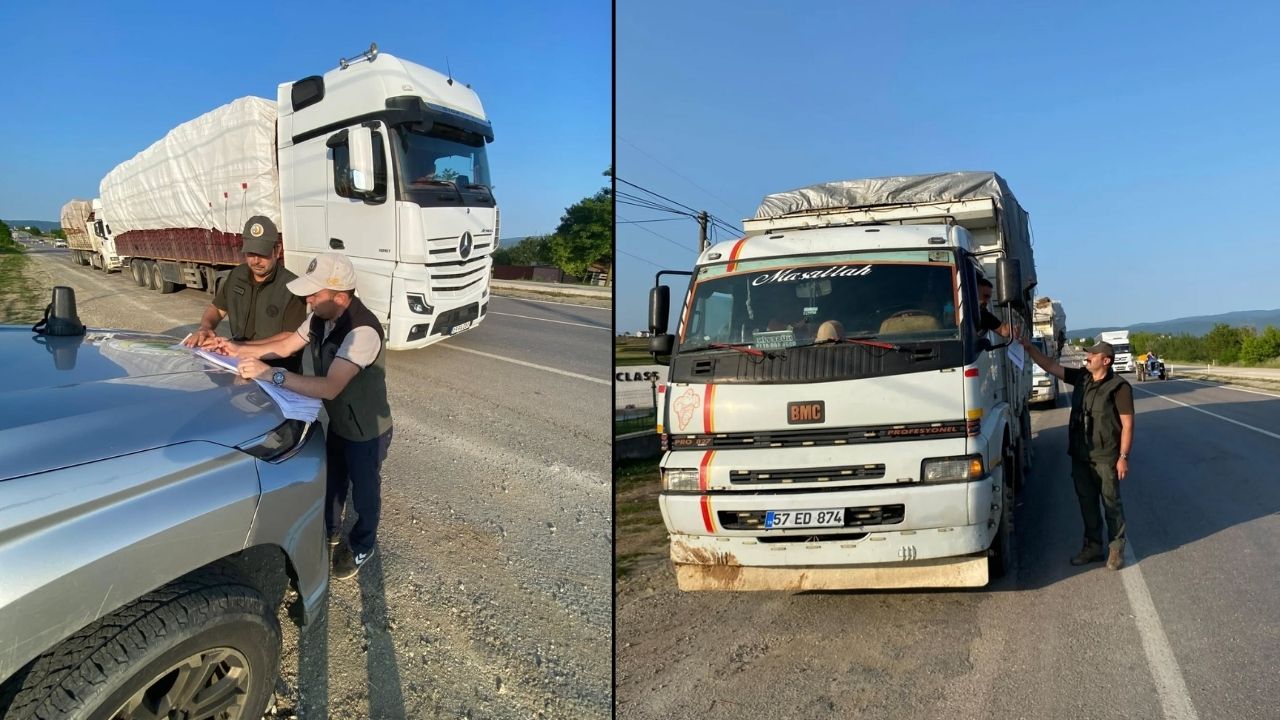 Taşköprü’de Doğaya Sahip Çıkılıyor Orman Koruma Faaliyetleri Başarıyla Tamamlandı (1)