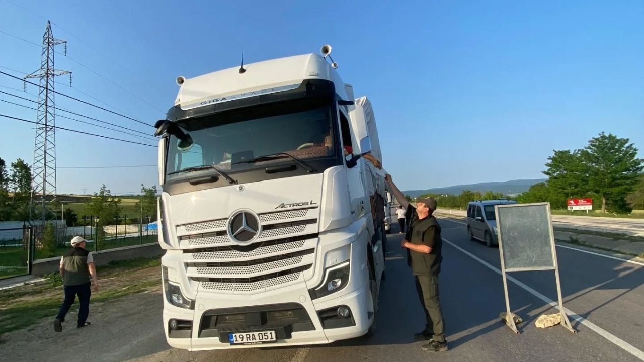 Taşköprü’de Doğaya Sahip Çıkılıyor Orman Koruma Faaliyetleri Başarıyla Tamamlandı (2)
