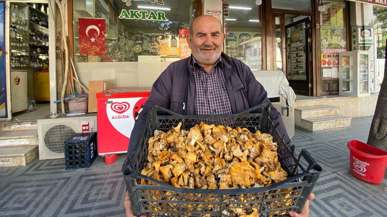 Tavuk Ayağı Mantarının Sezonu Açıldı! Taşköprü’de Tezgâhlarda Yerini Aldı (3)