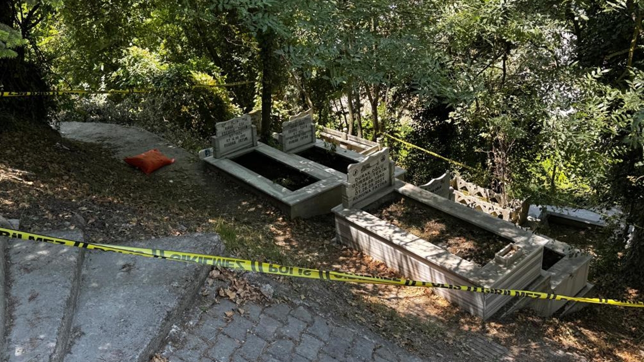 Bartın Muska (1)