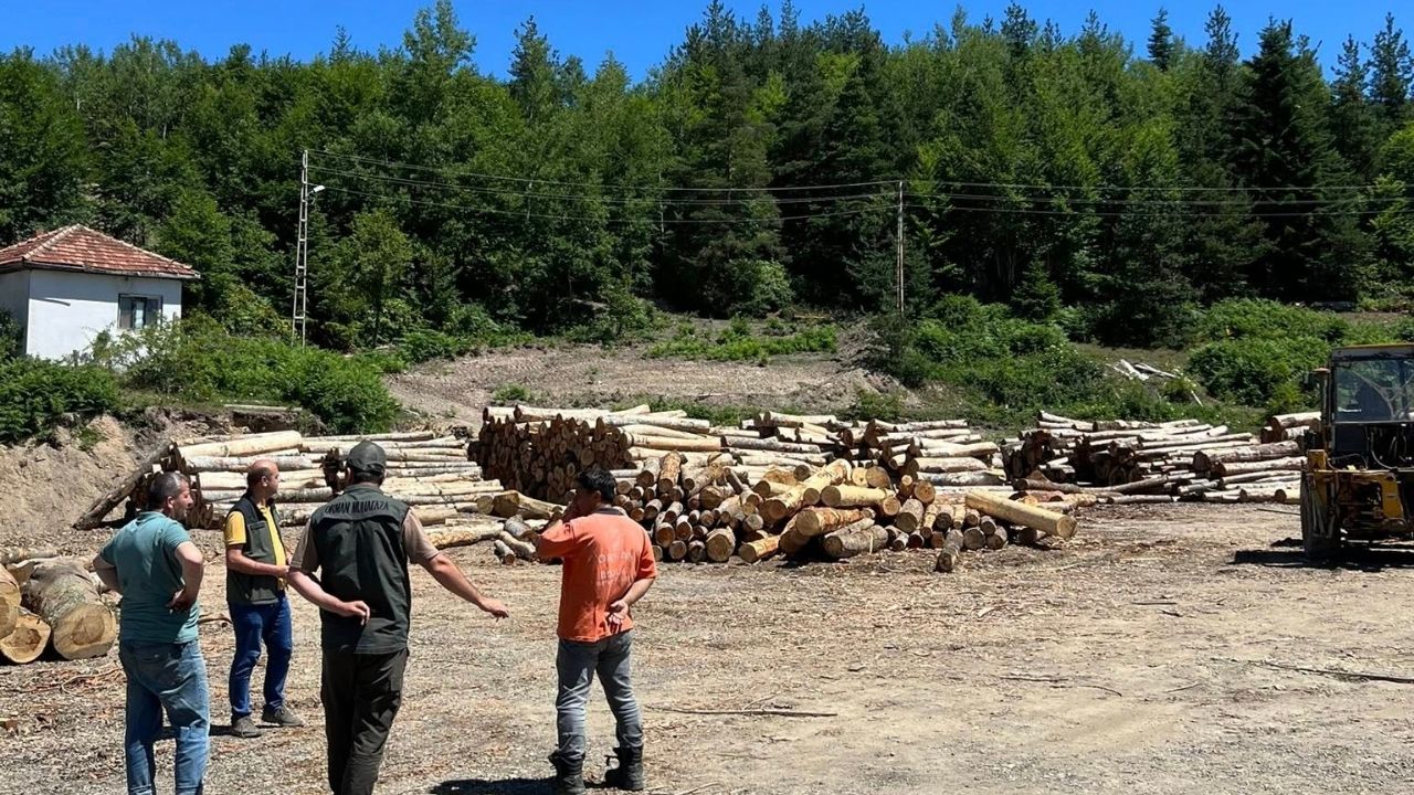 Bozkurt Oi̇m’den Orman Deposuna Hayati Denetim (1)