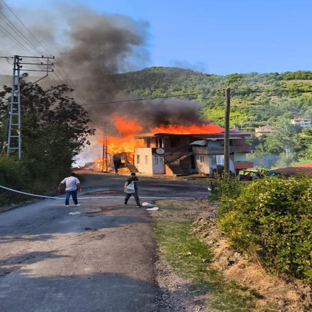 Cide Yangın Alevler (7)