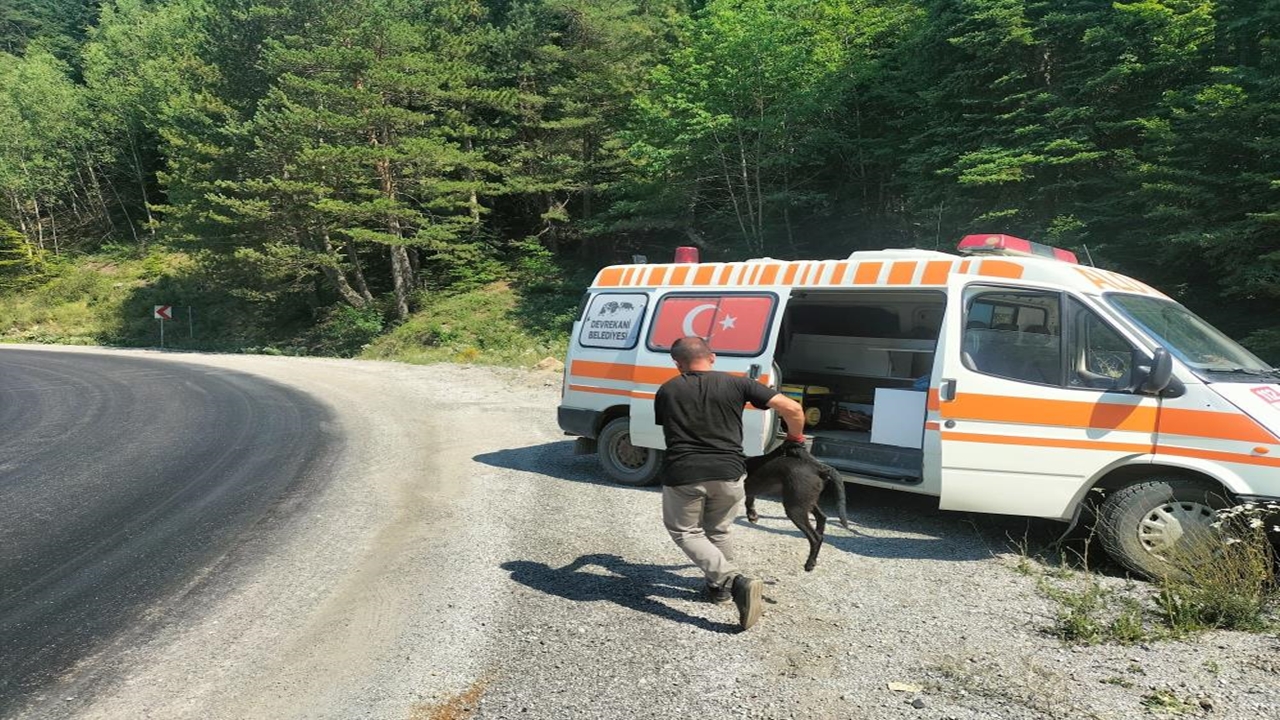 Devrekani Köpek Kurtarma Operasyonu (6)