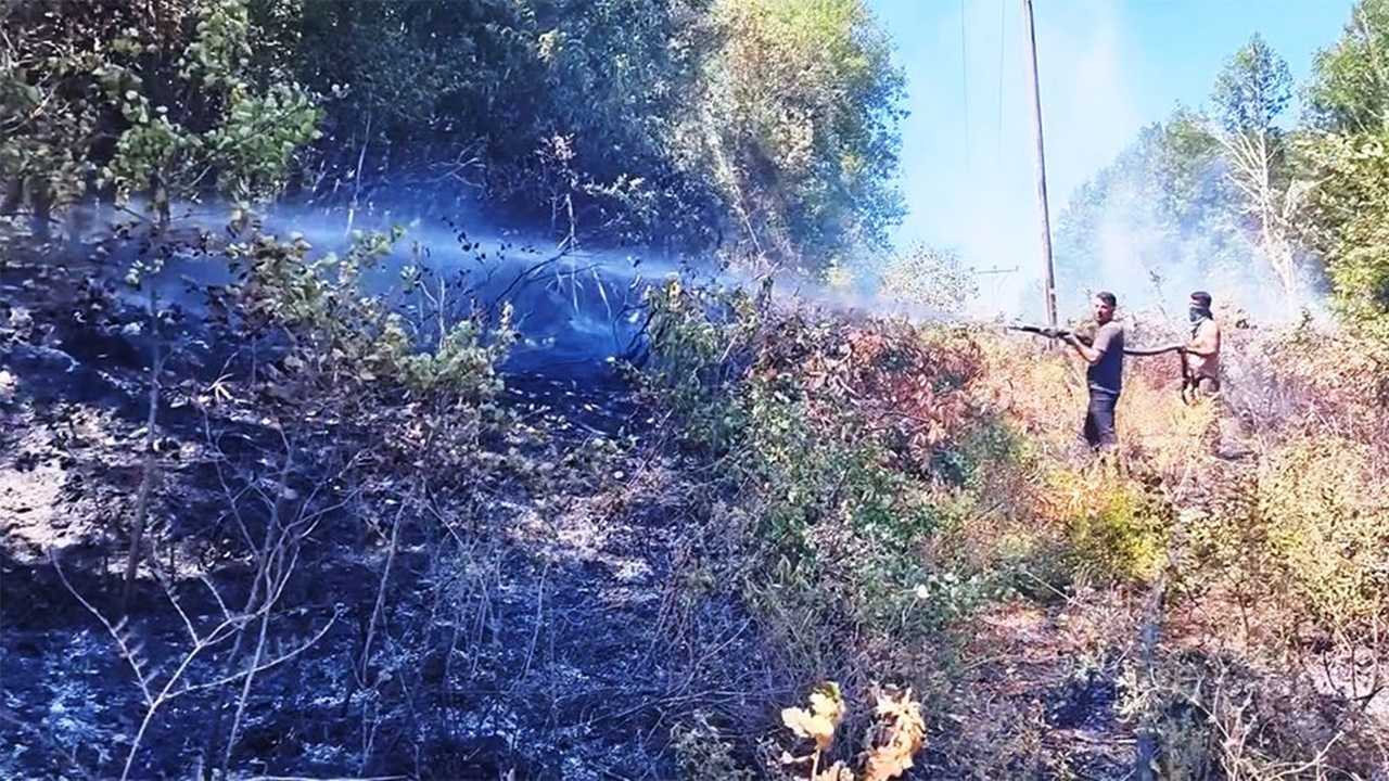 Doğanyurt Orman Yangını Çıktı Söndü (1)