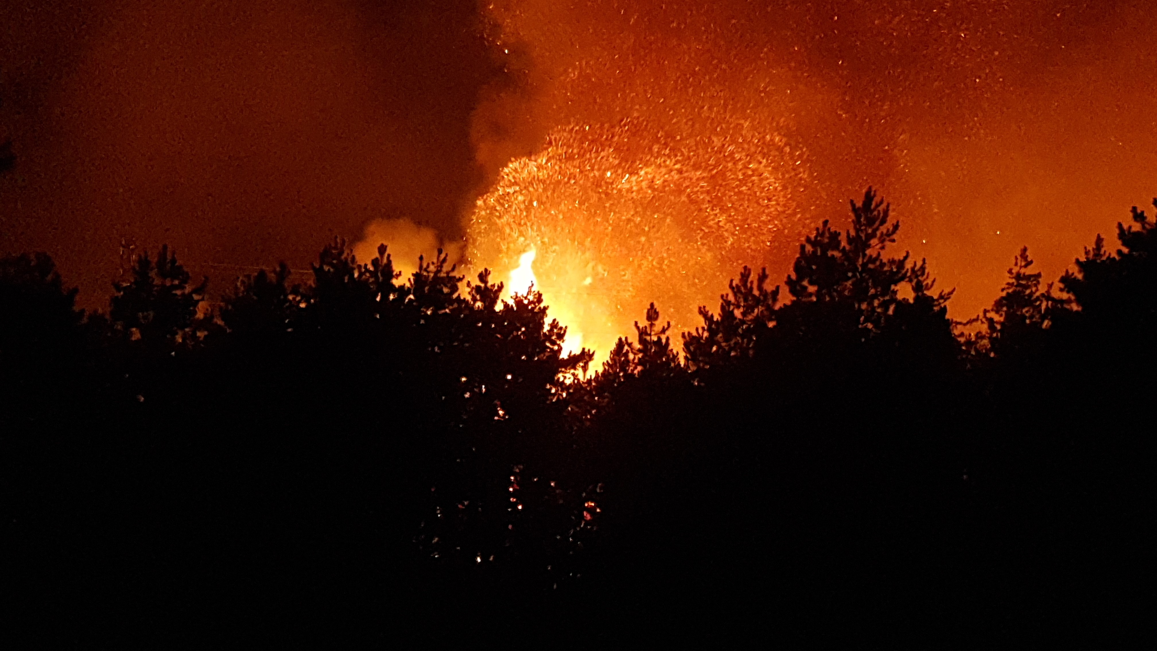 Feci Orman Yangınına 116 Araçla Müdahale Ediliyor! 15