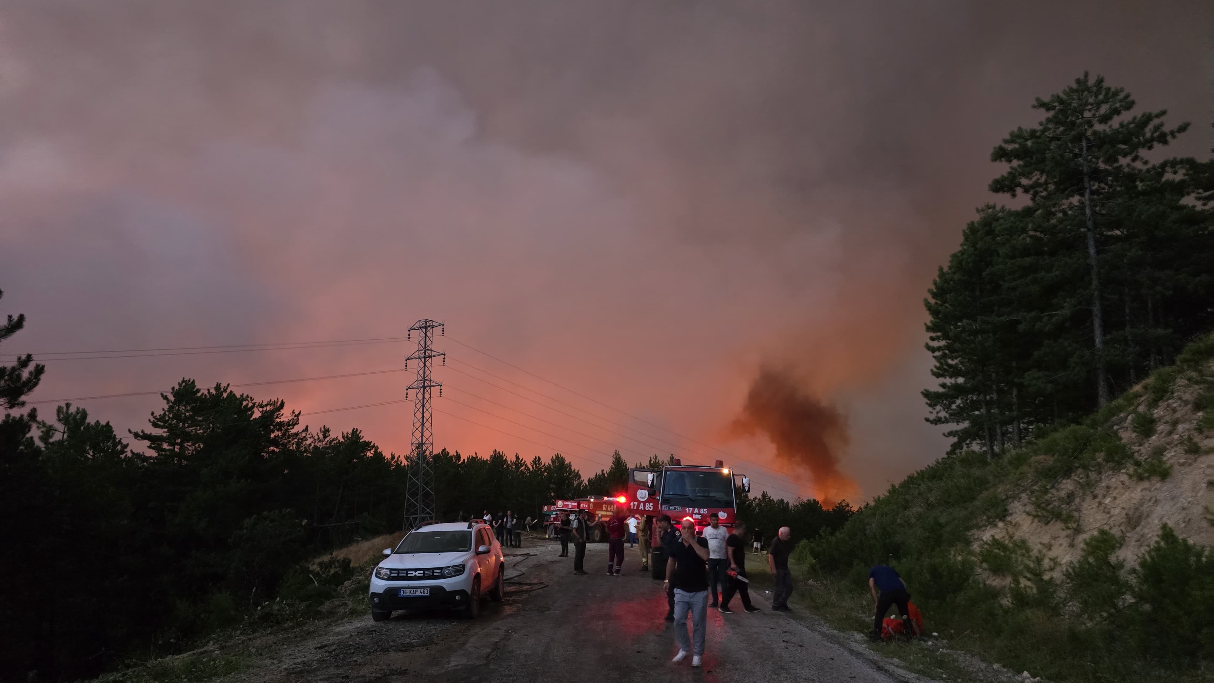 Feci Orman Yangınına 116 Araçla Müdahale Ediliyor! 16