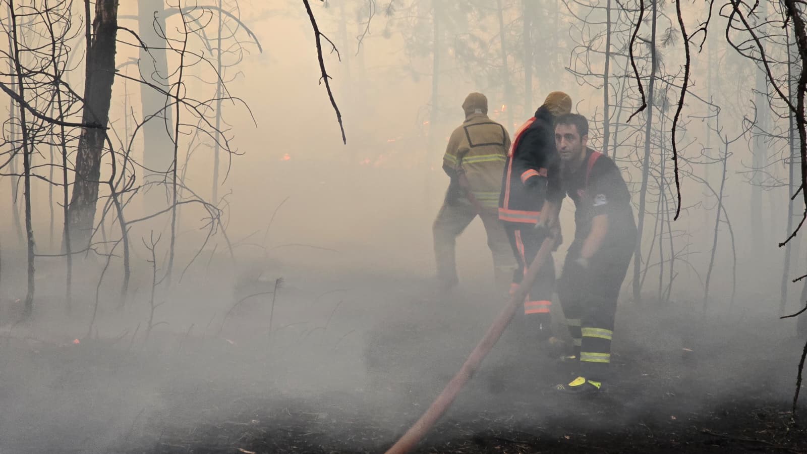 Feci Orman Yangınına 116 Araçla Müdahale Ediliyor! 17