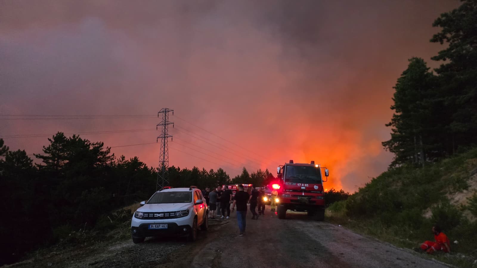 Feci Orman Yangınına 116 Araçla Müdahale Ediliyor! 18