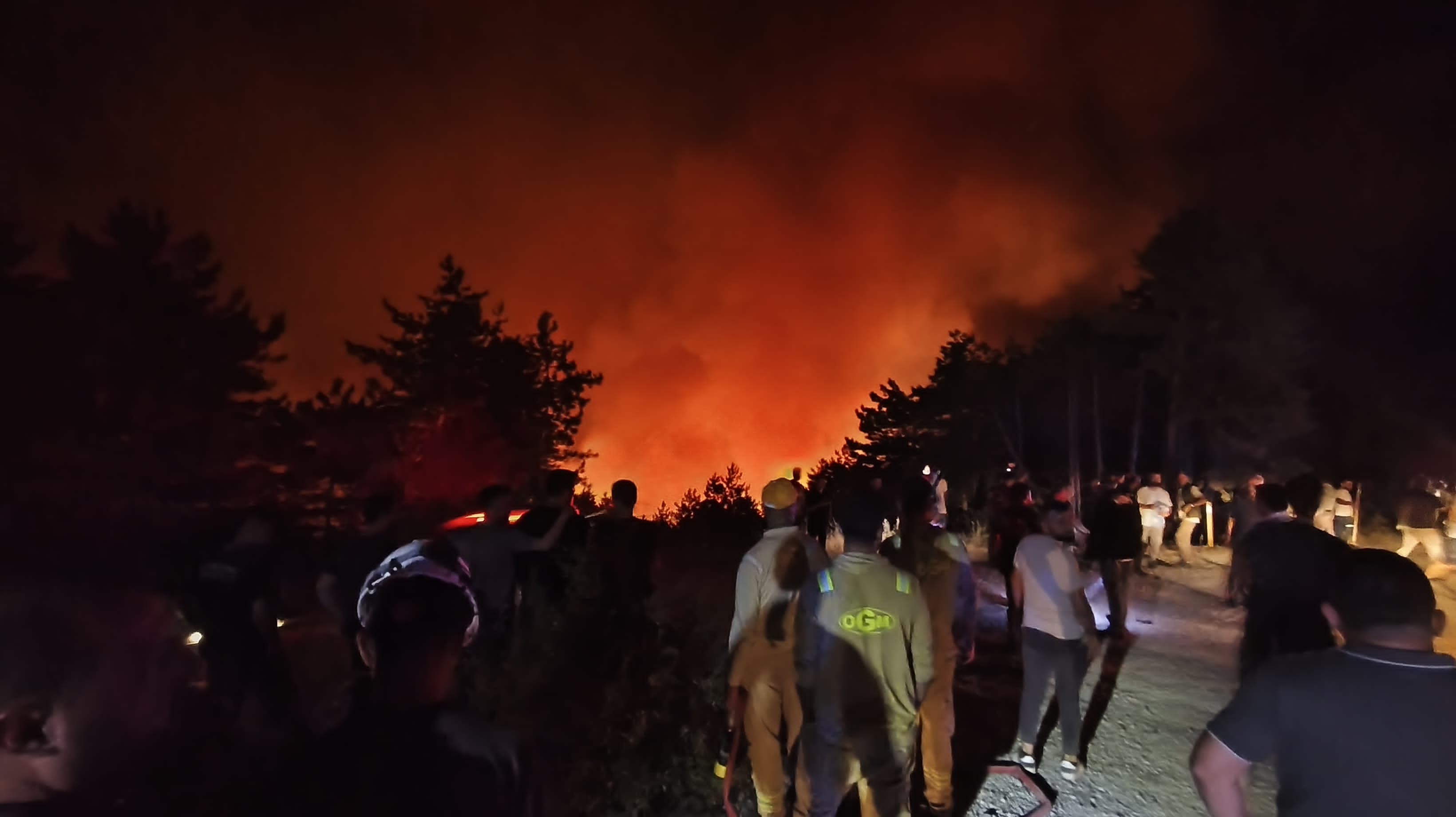 Feci Orman Yangınına 116 Araçla Müdahale Ediliyor! 21