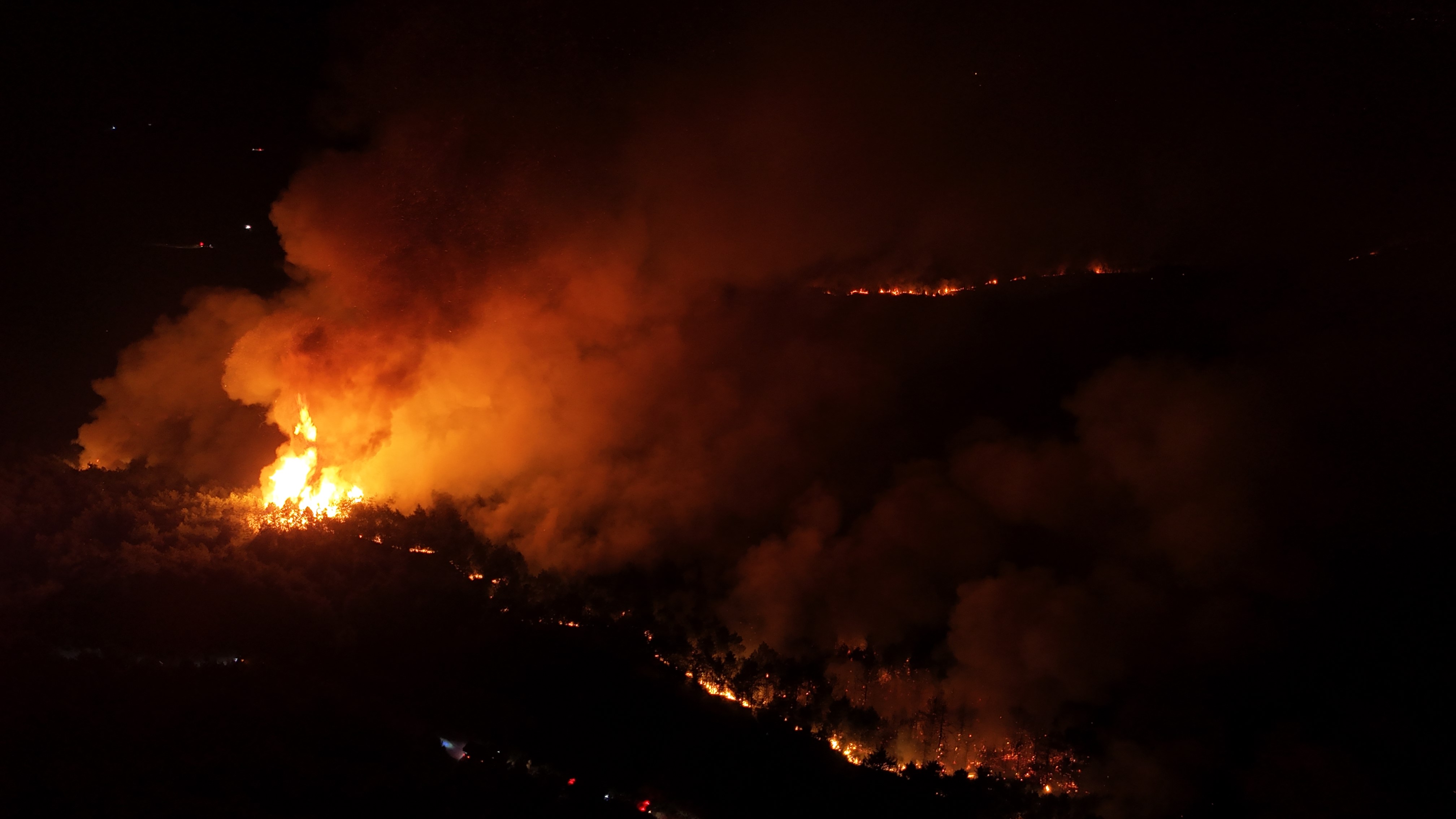Feci Orman Yangınına 116 Araçla Müdahale Ediliyor! 7