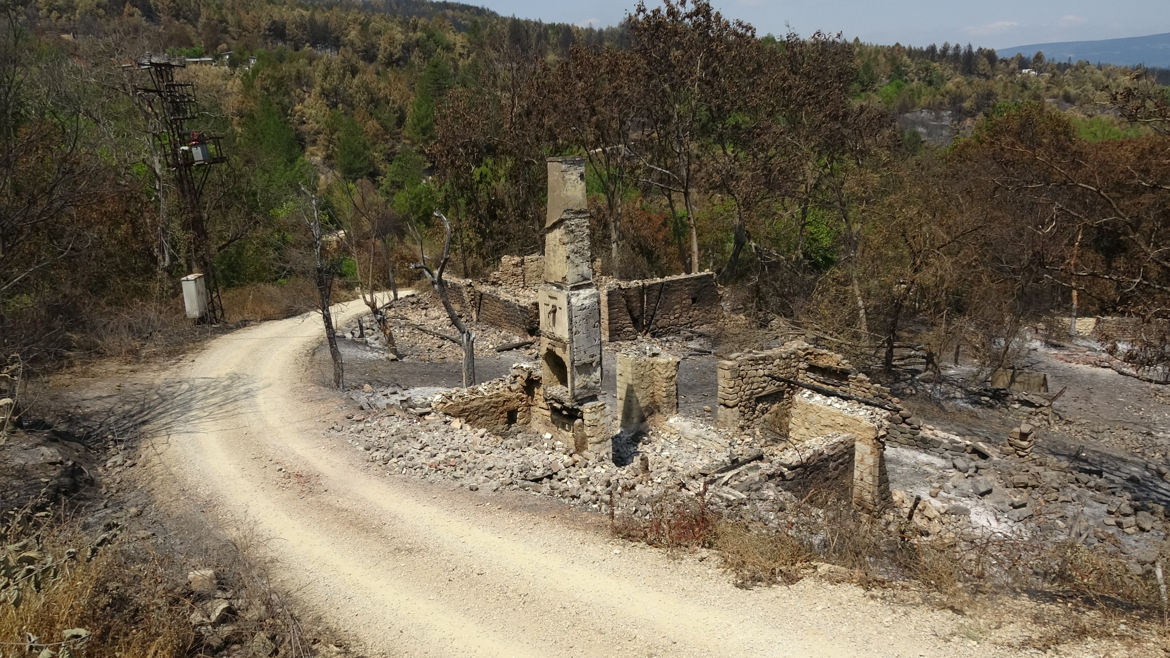 Feci Orman Yangınında Köyün Bir Mahallesi Kül Oldu 2