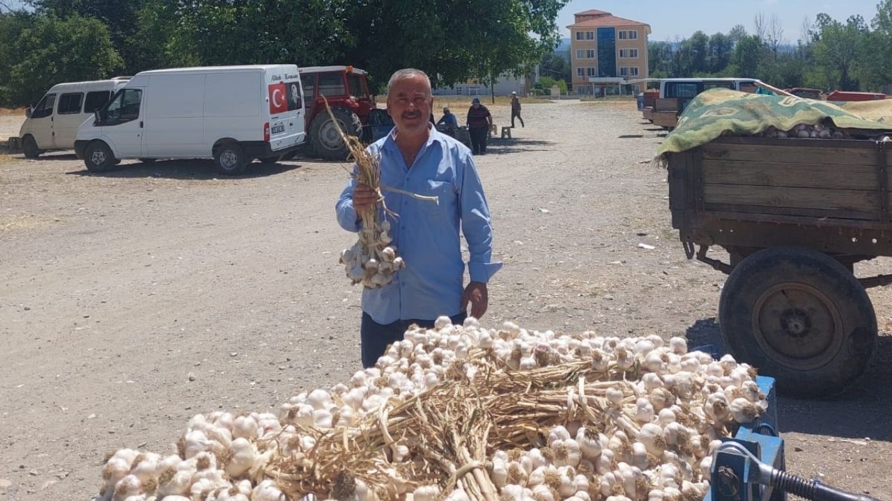 Germeç Sarımsak Pazarı Dikkat Çekti Küçük Boydan İri Boya Güncel Fiyatlar (4)