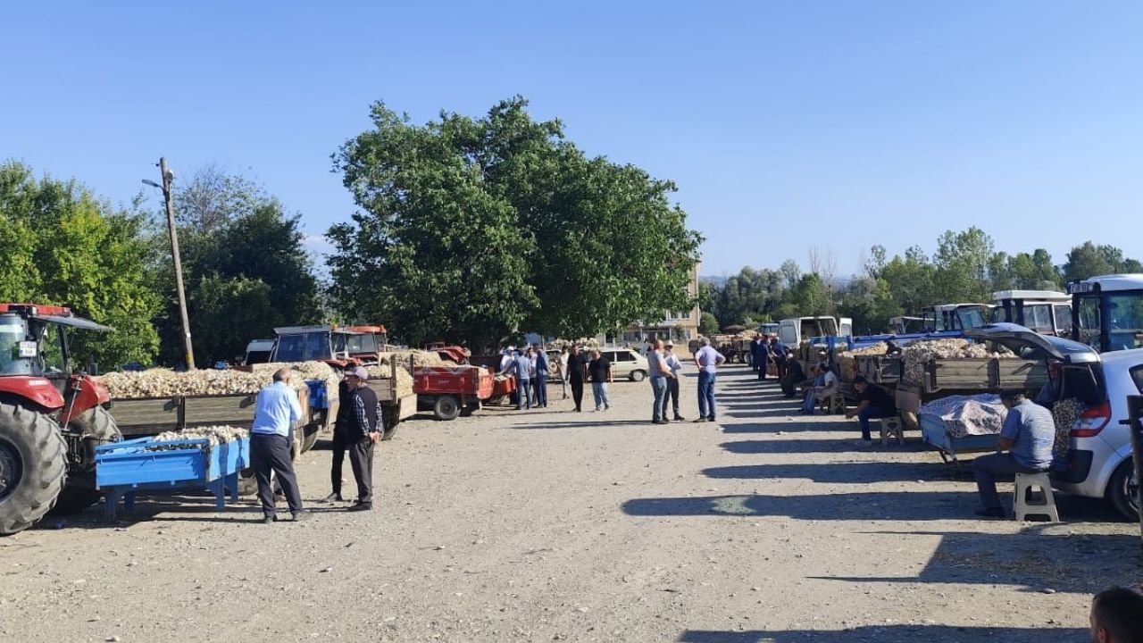 Germeç Sarımsak Pazarı Dikkat Çekti Küçük Boydan İri Boya Güncel Fiyatlar (5)