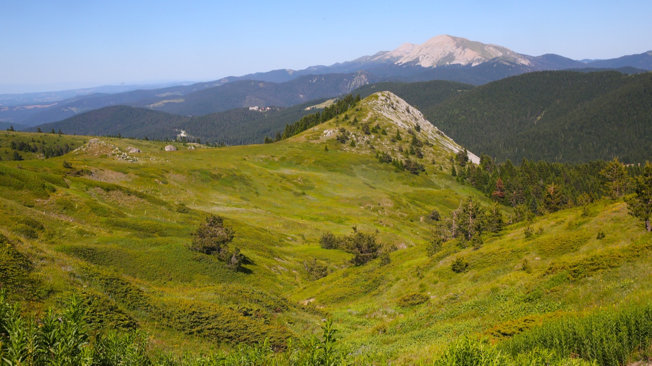 Ilgaz Dagı Bahar (8)