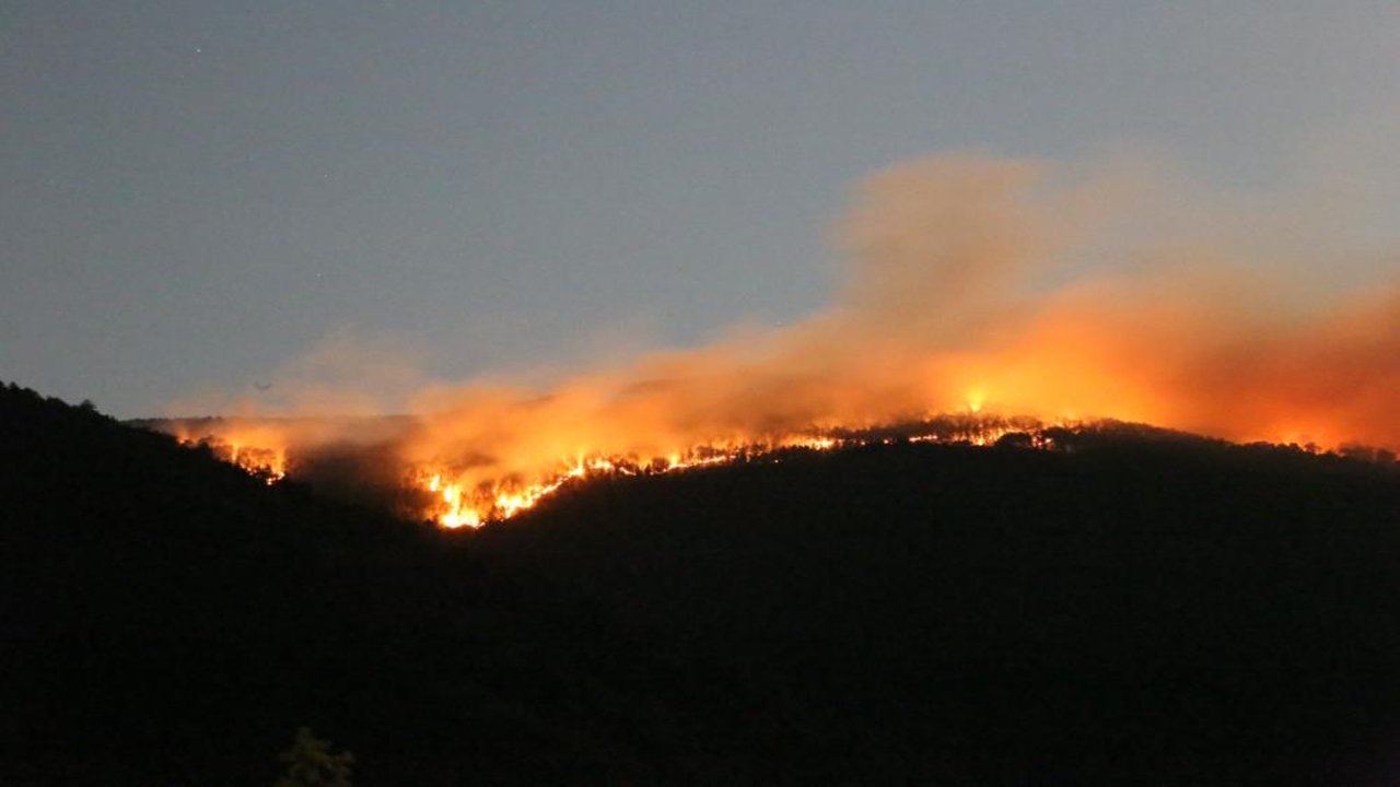Ilgaz Dağı Orman Yangını Söndü (2)