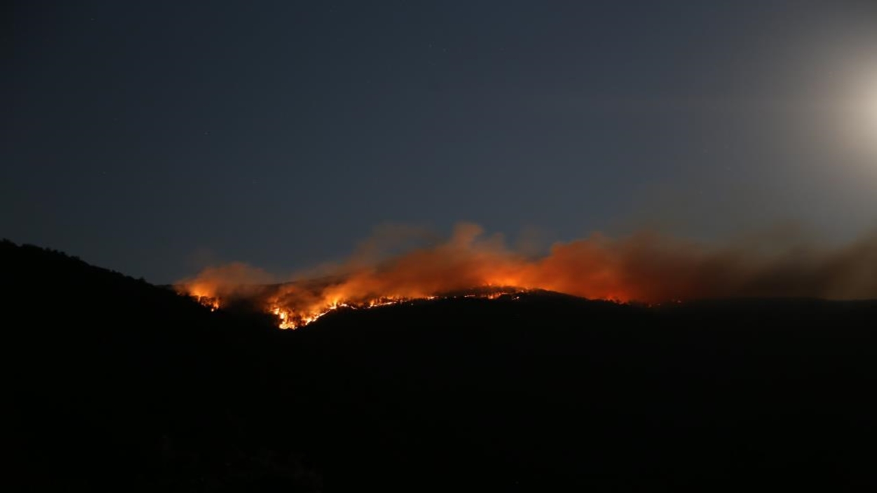 Ilgaz Dağı Orman Yangını Söndü (3)