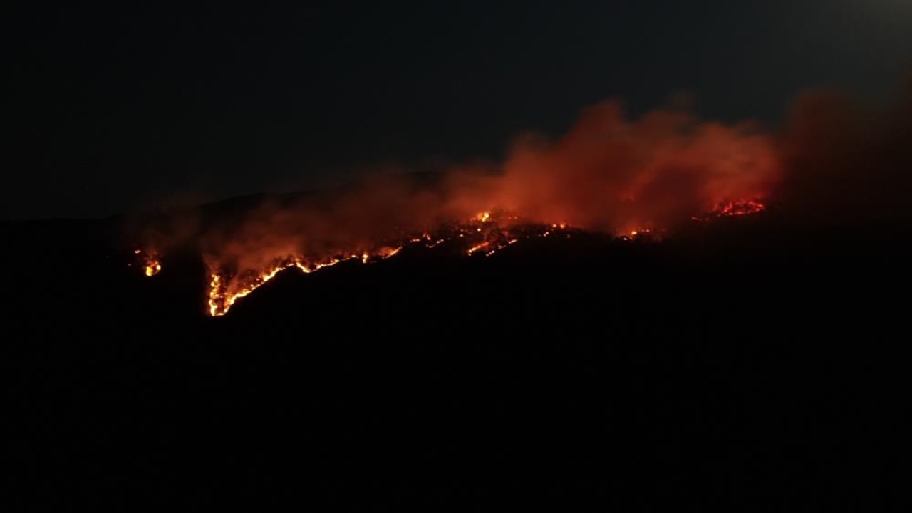 Ilgaz Dağı Orman Yangını Söndü (4)