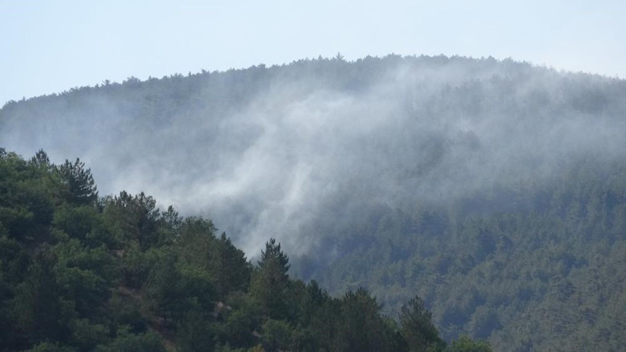 Ilgaz Dağı Orman Yangını Söndü (8)