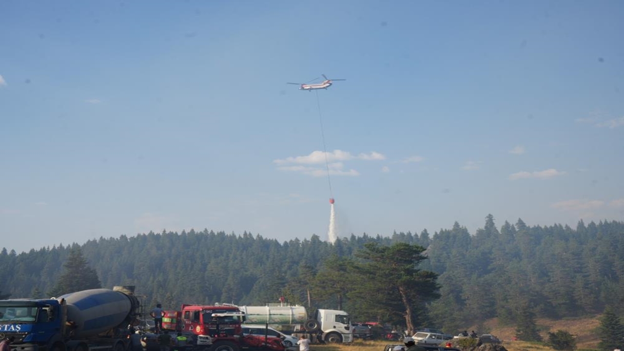 Ilgaz Orman Yangını (2)