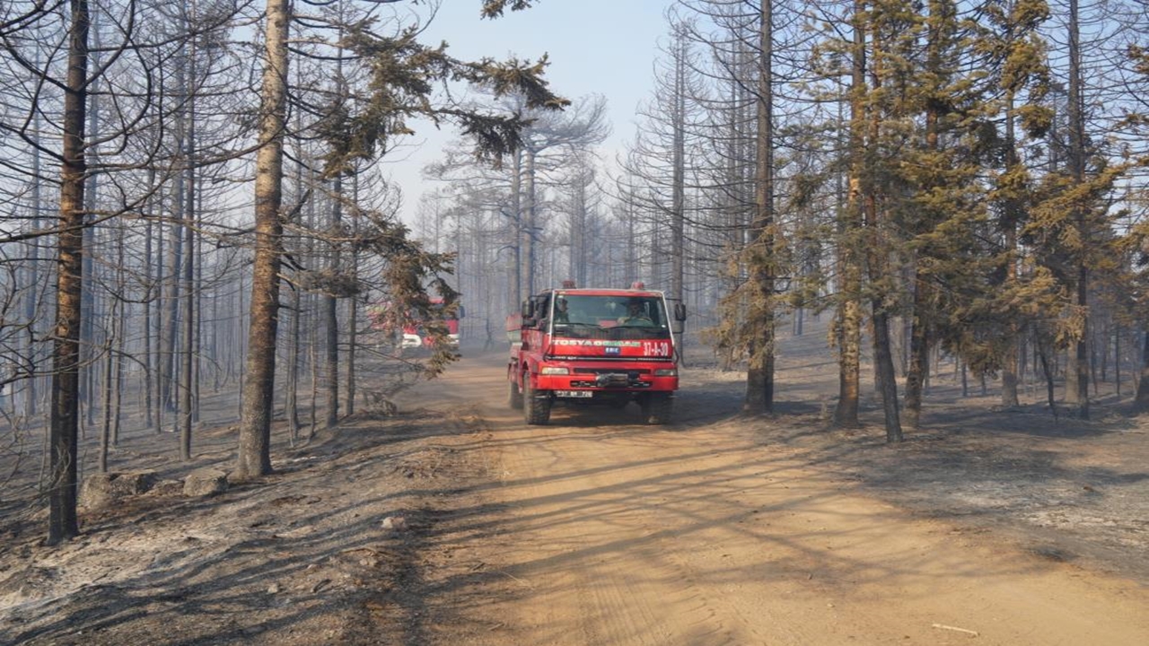 Ilgaz Orman Yangını (3)