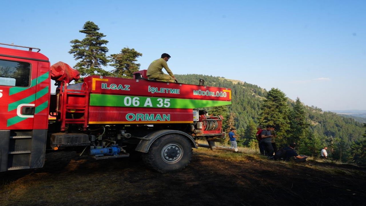 Ilgaz Orman Yangını (4)