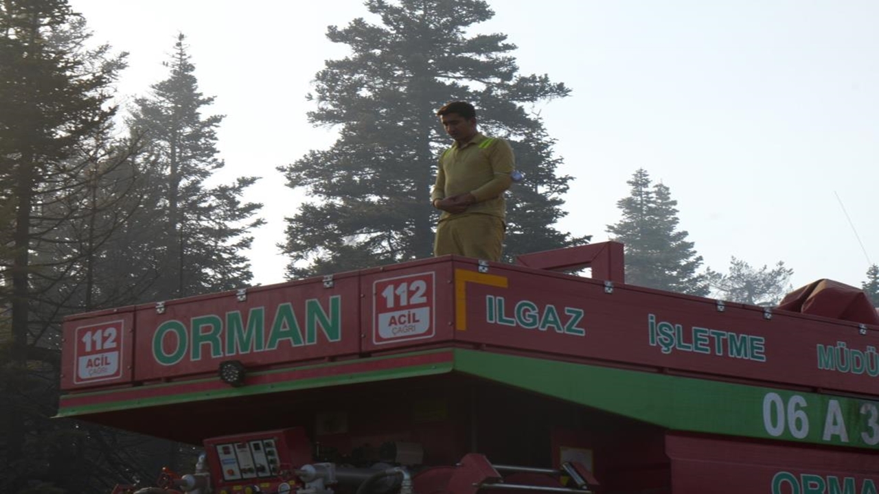 Ilgaz Orman Yangını (5)