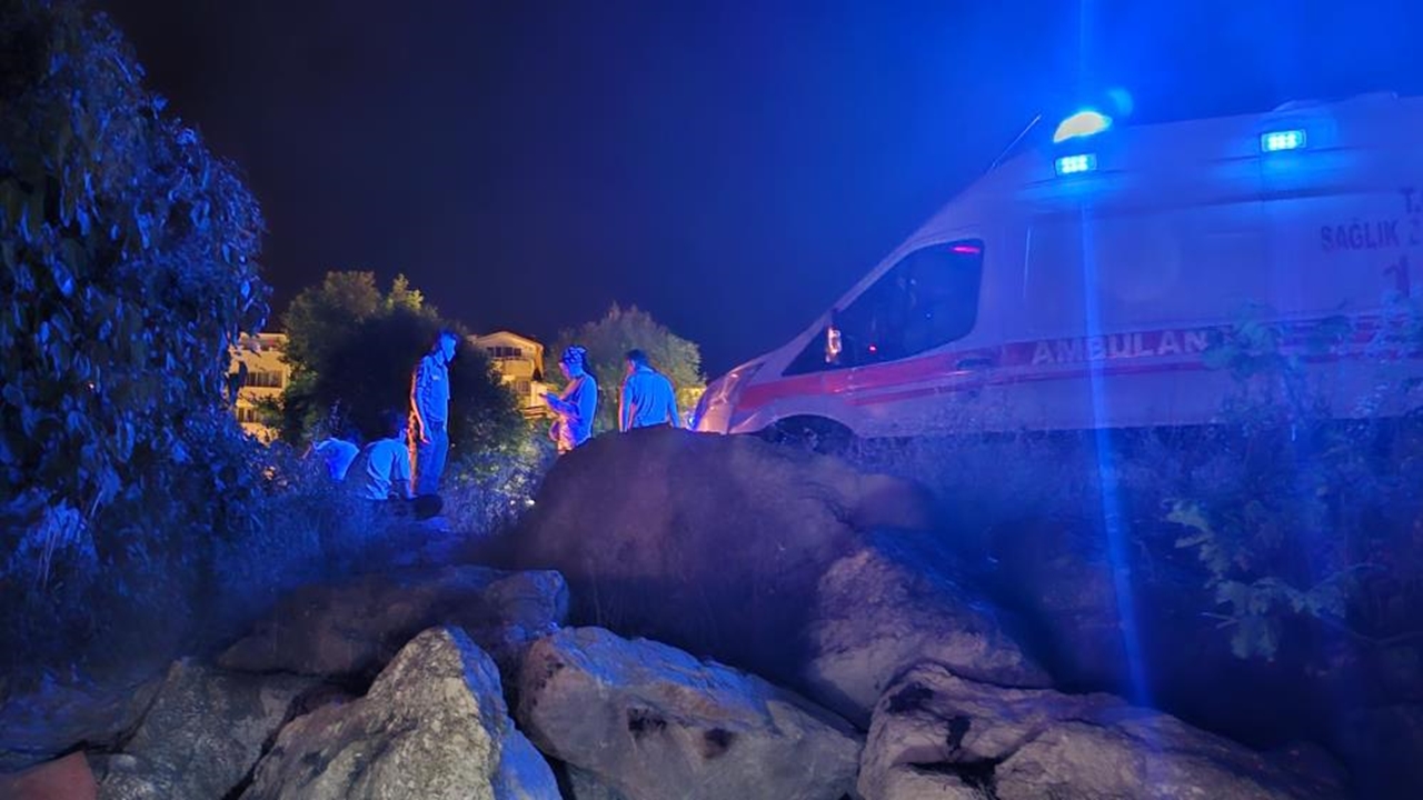 Kastamonu Cide Maviş (5)