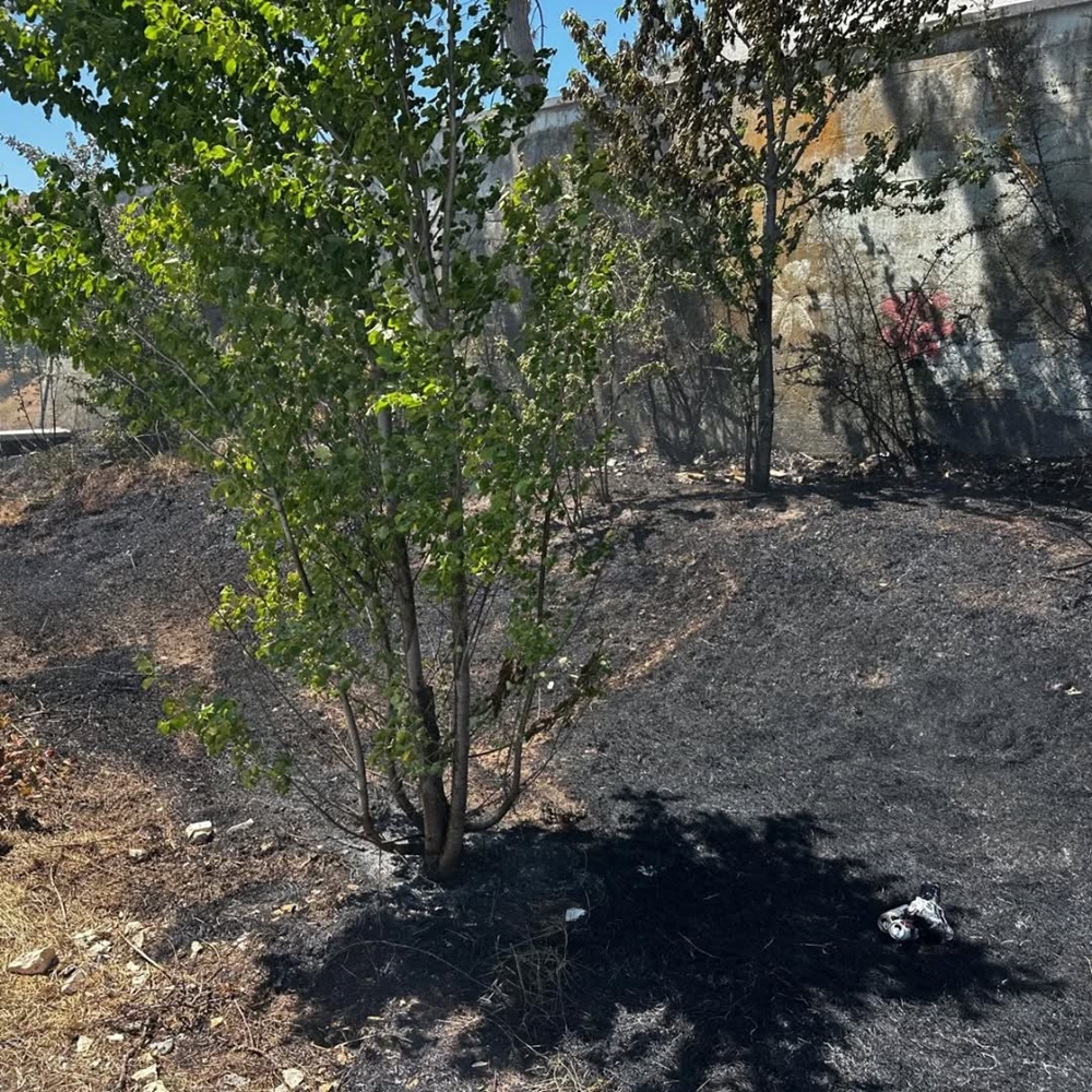 Kastamonu Huzurevi Bölgesi Orman Yangını (2)