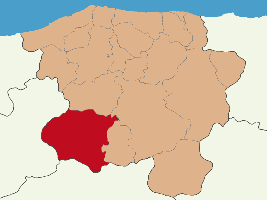 Kastamonu Location Araç