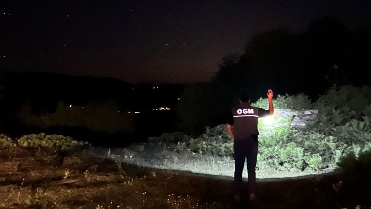 Kastamonu Ormanlarında Gece Denetimi Sürüyor (1)