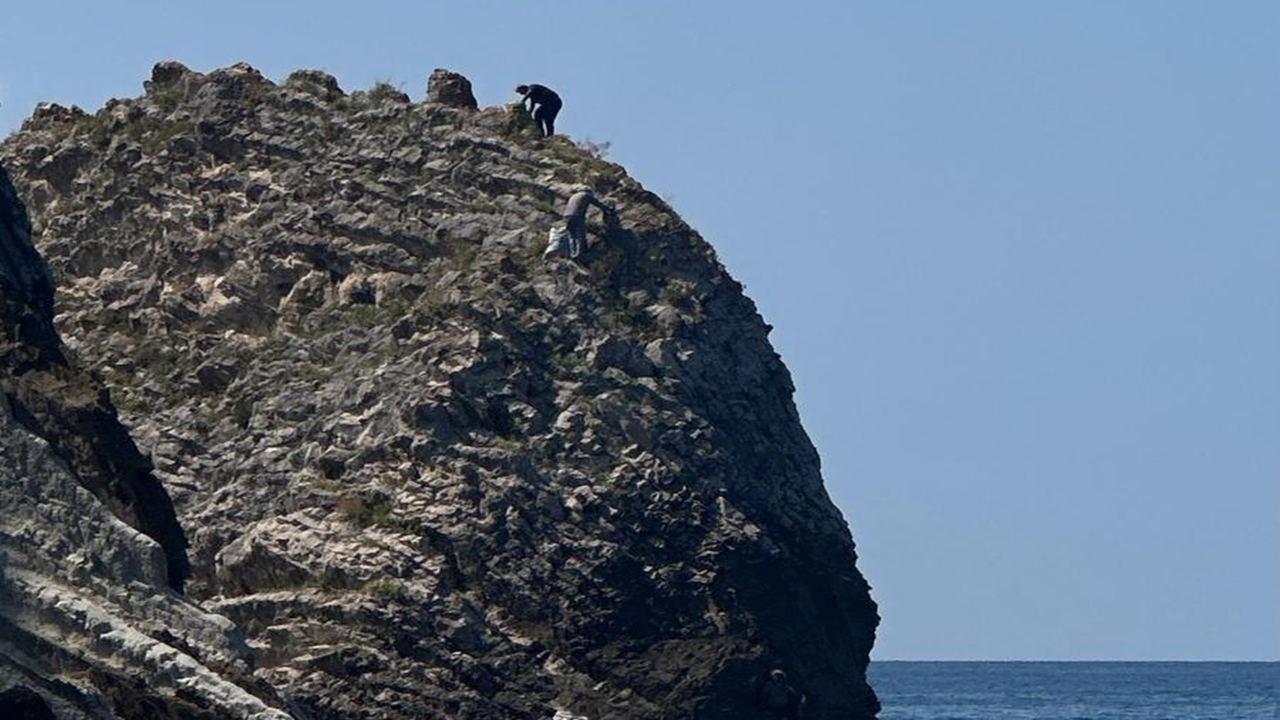 Kastamonu Ot Abana (3)