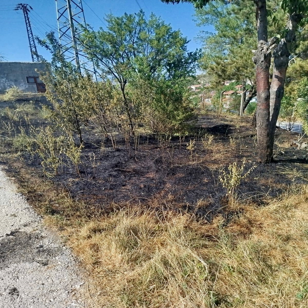Kastamonu Sarıkaya Yangın (3)