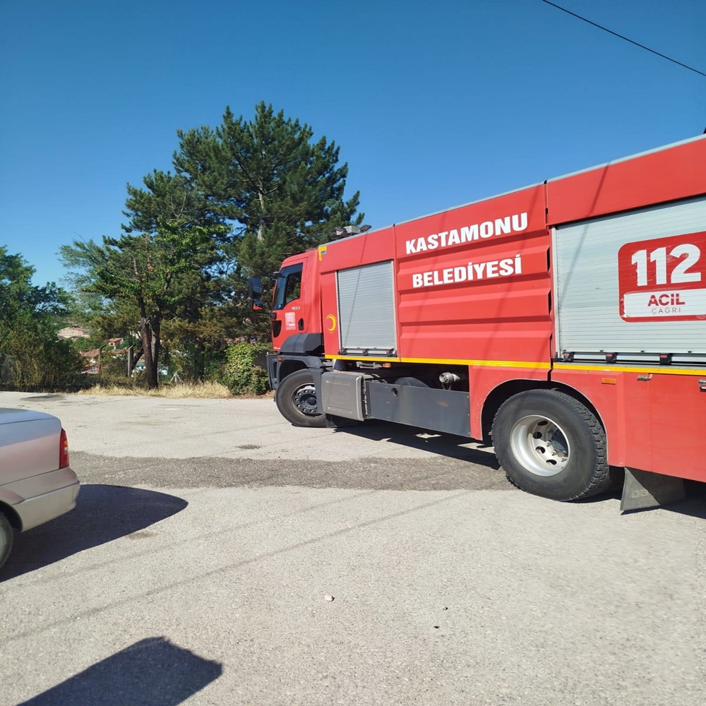 Kastamonu Sarıkaya Yangın (4)