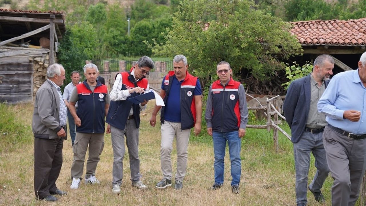 Kastamonu Tarım İl Müdürlüğü, Yem Bitkileri Arazilerini İnceledi (4)