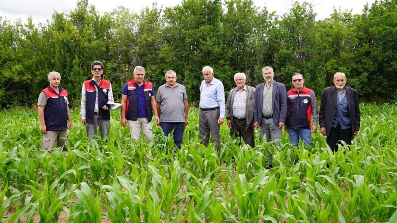Kastamonu Tarım İl Müdürlüğü, Yem Bitkileri Arazilerini İnceledi (5)