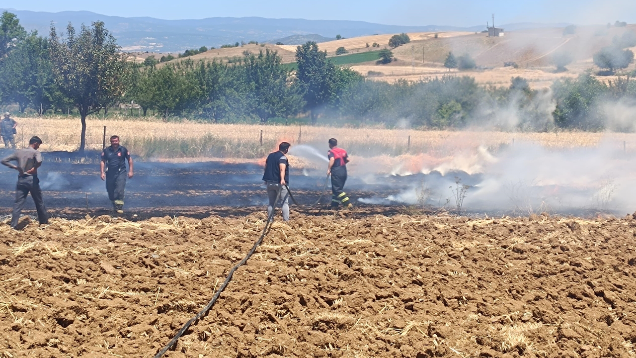 Kastamonu Taşköprü Anız Yangını Çanşa Köyü (4)