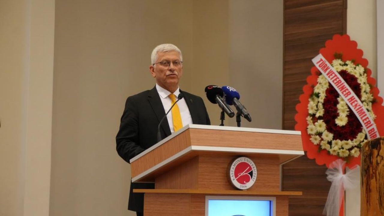Kastamonu Üniversitesi’nde Mezuniyet Coşkusu Yeni Veteriner Hekimler Göreve Hazır! (1)