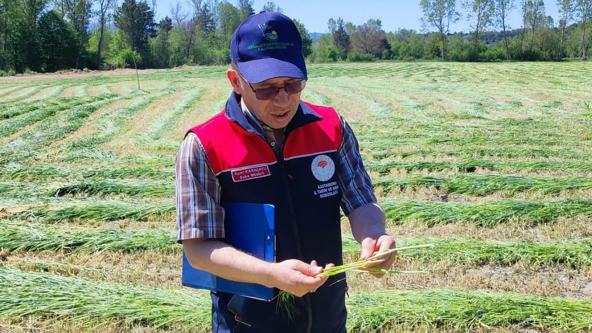 Kastamonu'da 38 Bin 580 Parselde Üretim Kontrol Edildi 2