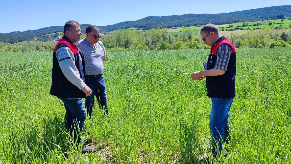 Kastamonu'da 38 Bin 580 Parselde Üretim Kontrol Edildi 3