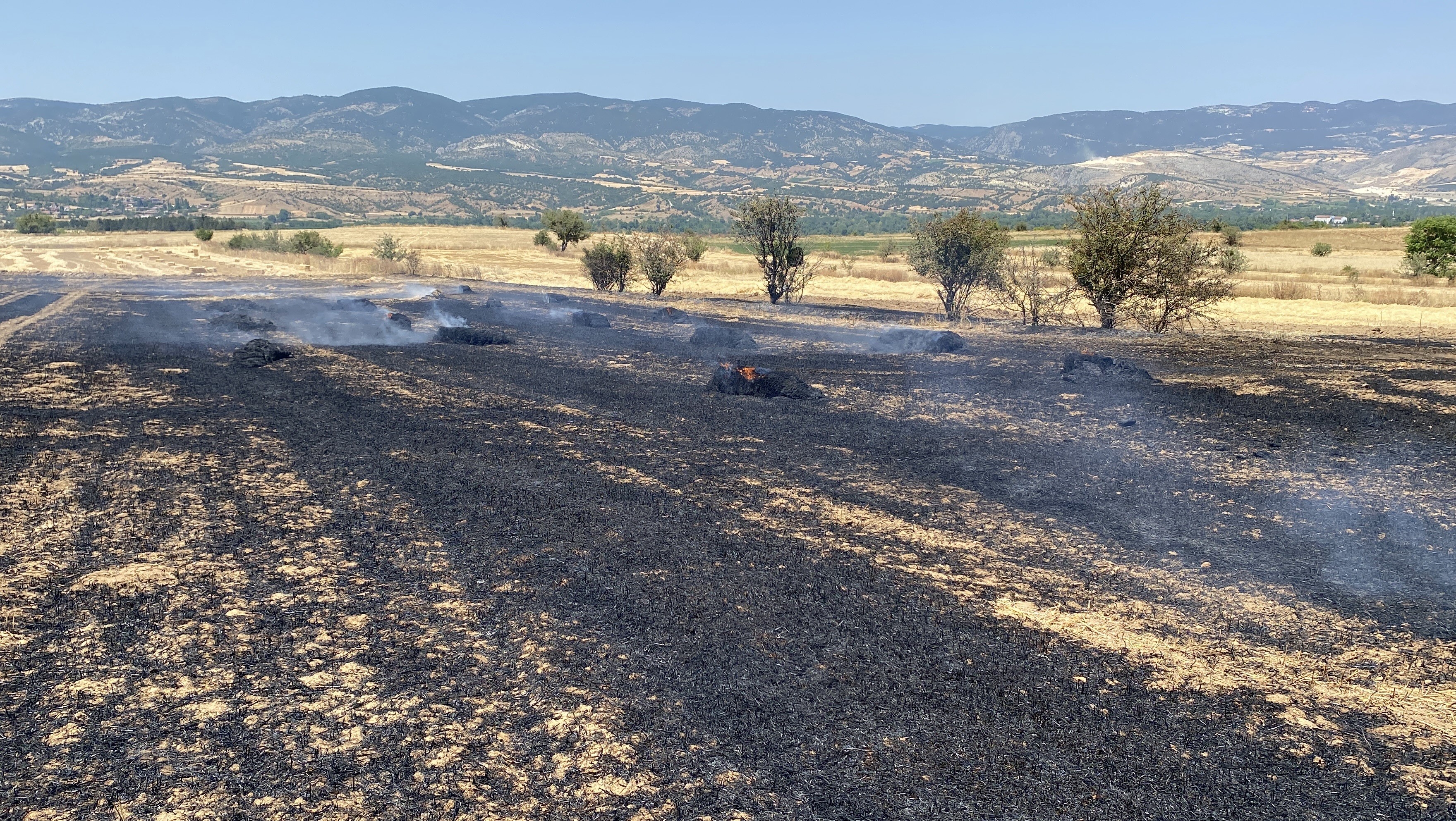 Kastamonu'da Balya Makinesinden Çıkan Yangında Detaylar Belli Oldu! 5