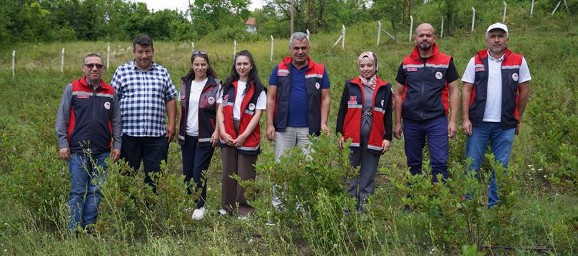 Kastamonu'da Bu Meyveye Ilgi Artıyor Üretim Alanı 224 Dekara Ulaştı 44