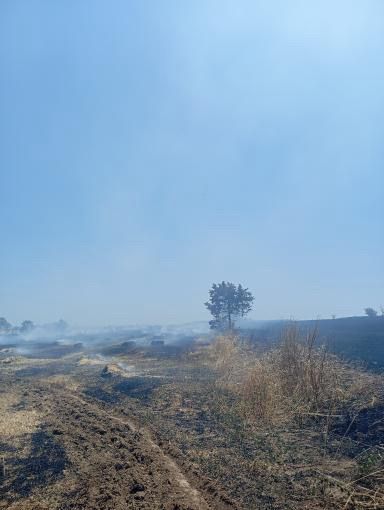 Kastamonu'da Çıkan Yangın Korkuttu 1