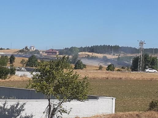 Kastamonu'da Korkutan Tarla Yangını!