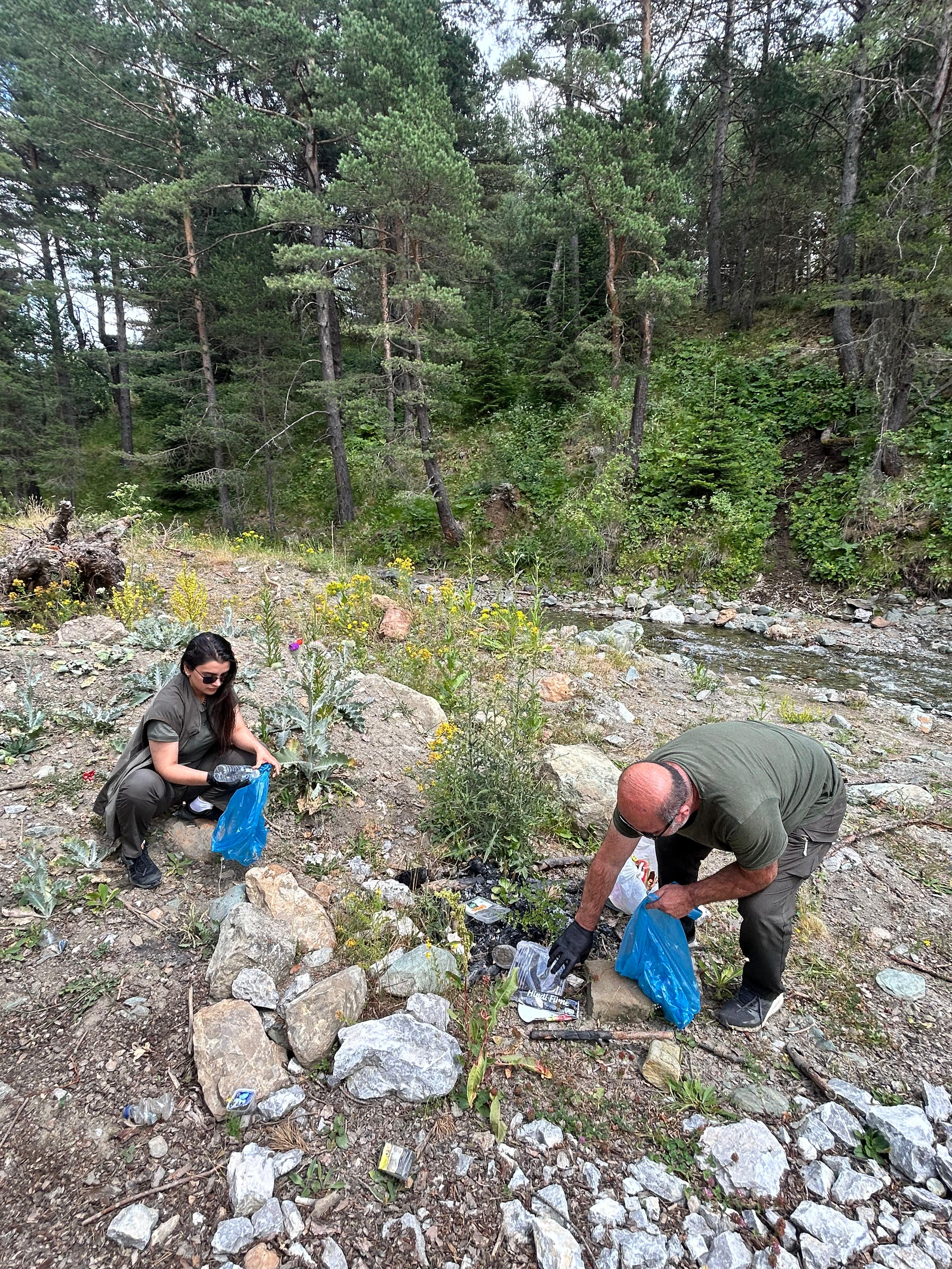 Kastamonu'da Orman Yangınlarına Karşı Önlem Arttı Uyarı Tabelaları Asıldı! 1
