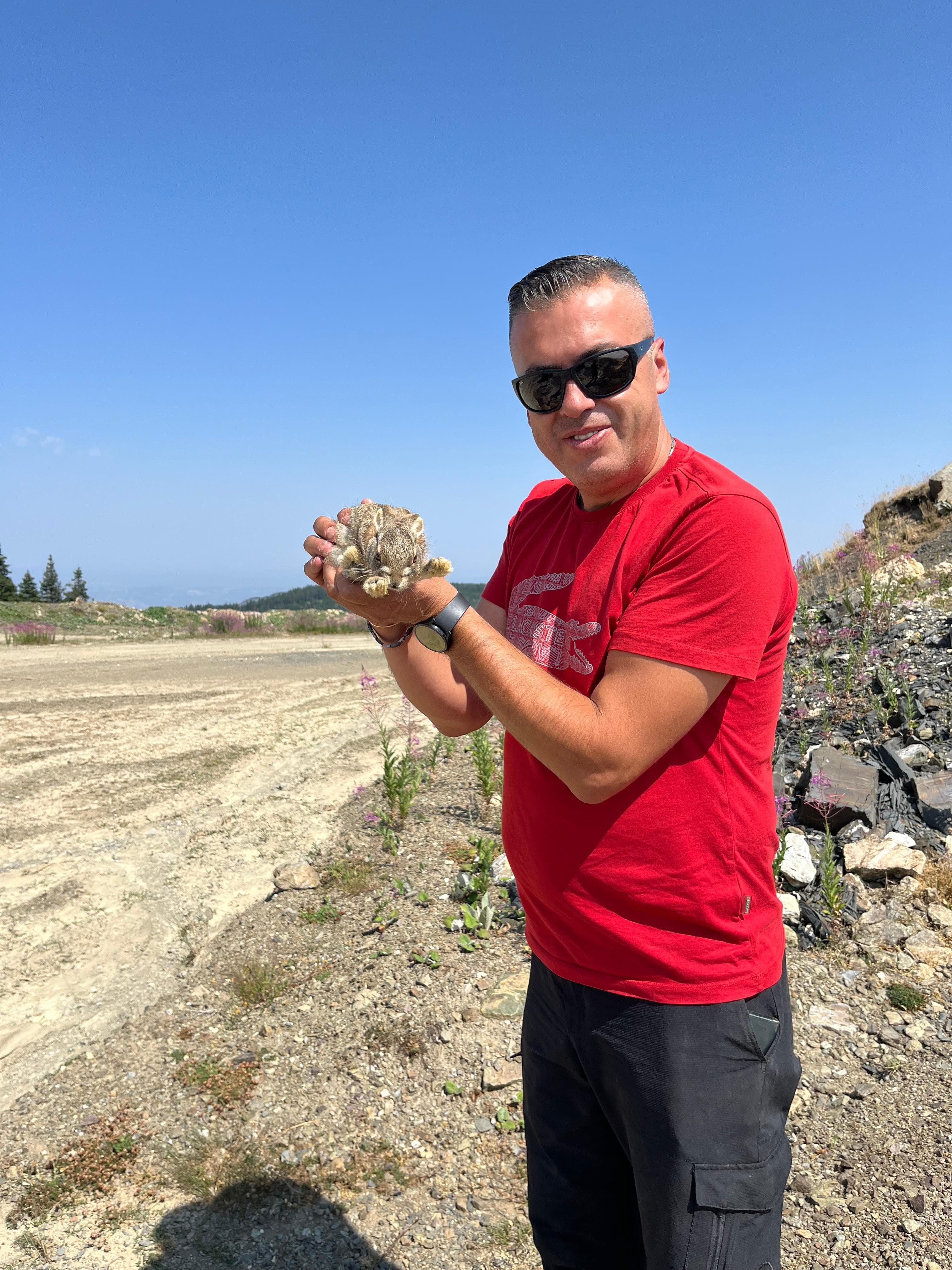Kastamonu'da Yaban Hayvanları Görsel Şölen Sundu 1