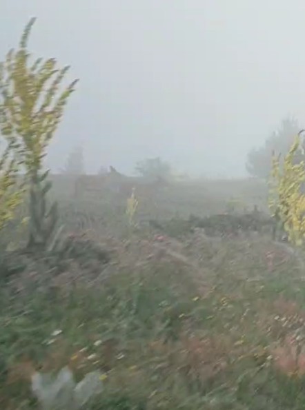 Kastamonu'da Yaban Hayvanları Görsel Şölen Sundu 3