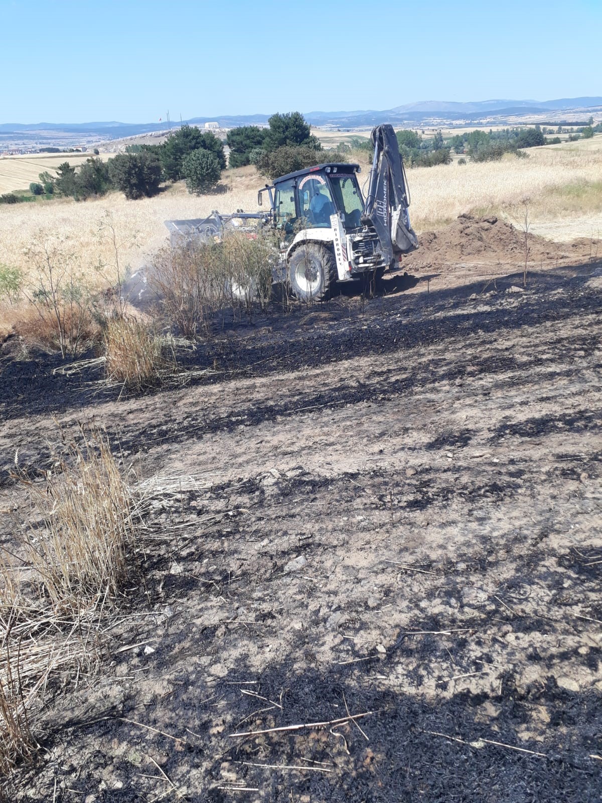 Kastamonu'da Yangın 15 Dönüm Alan Zarar Gördü 1