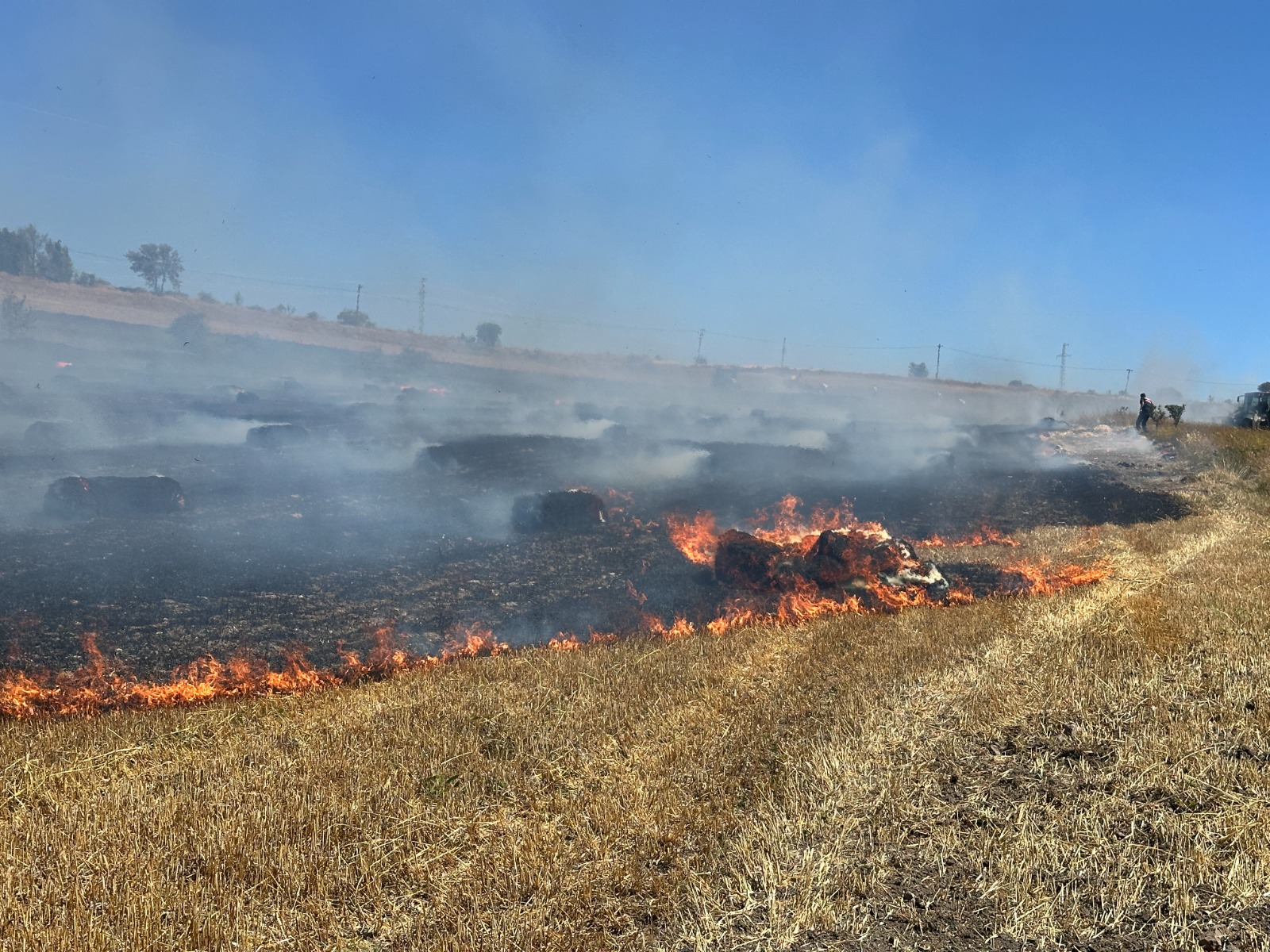 Kastamonu'da Yangın Ormana Sıçradı 3