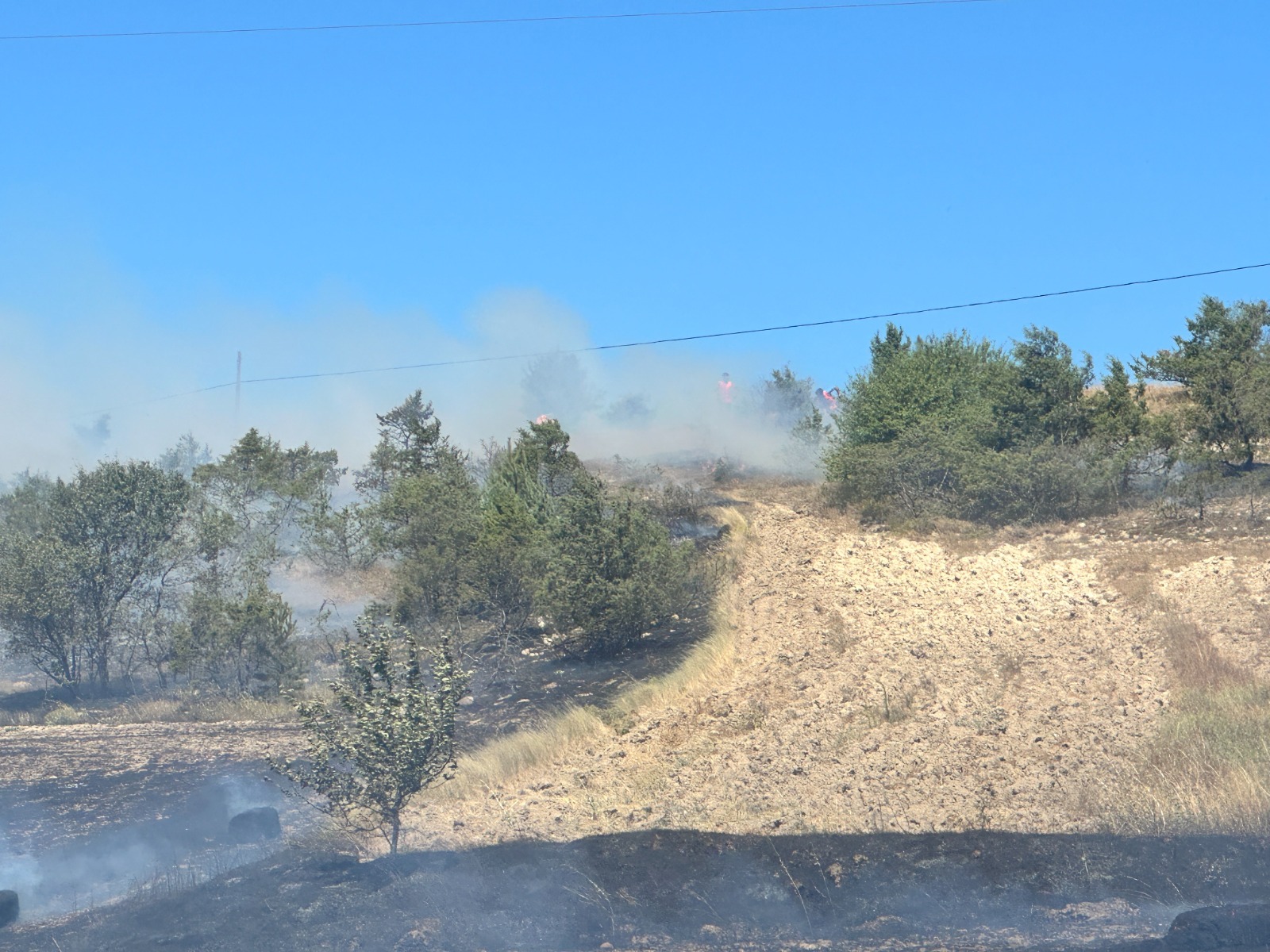 Kastamonu'da Yangın Ormana Sıçradı 4